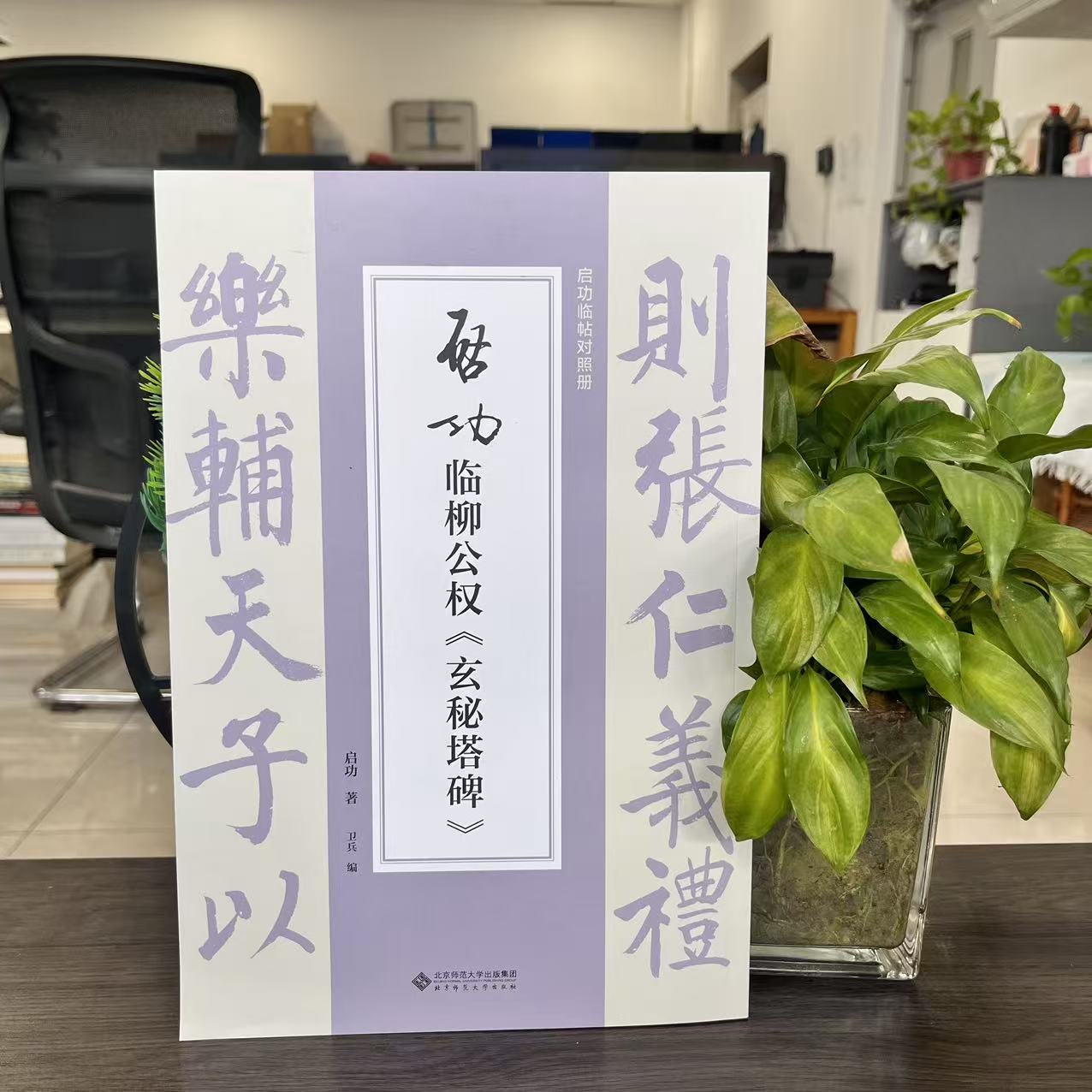 微瑕--启功临柳公权《玄秘塔碑》9787303307654北京师范大学 - 实物图
