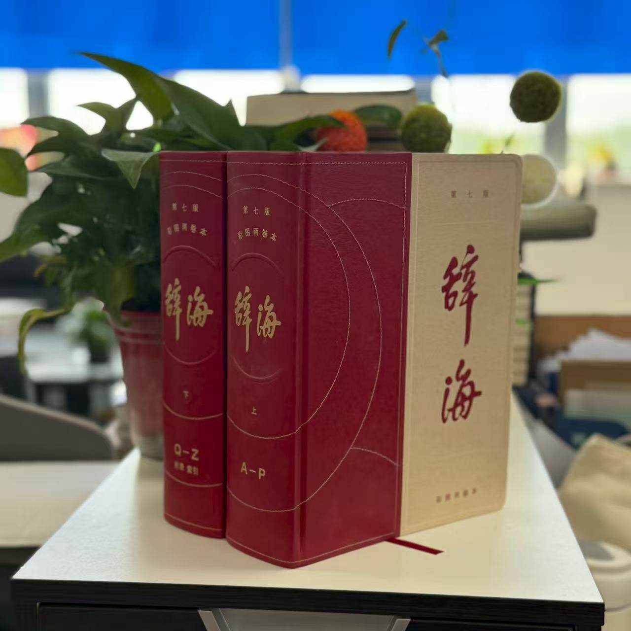 微瑕-辞海(第七版)彩图两卷本9787532661107 上海辞书
