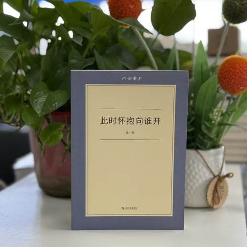 六合丛书：此时怀抱向谁开9787532175680 上海文艺