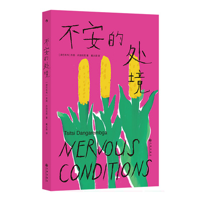 不安的处境 [津巴布韦] 齐西·丹加伦芭  后浪 9787522532561 九州出版社