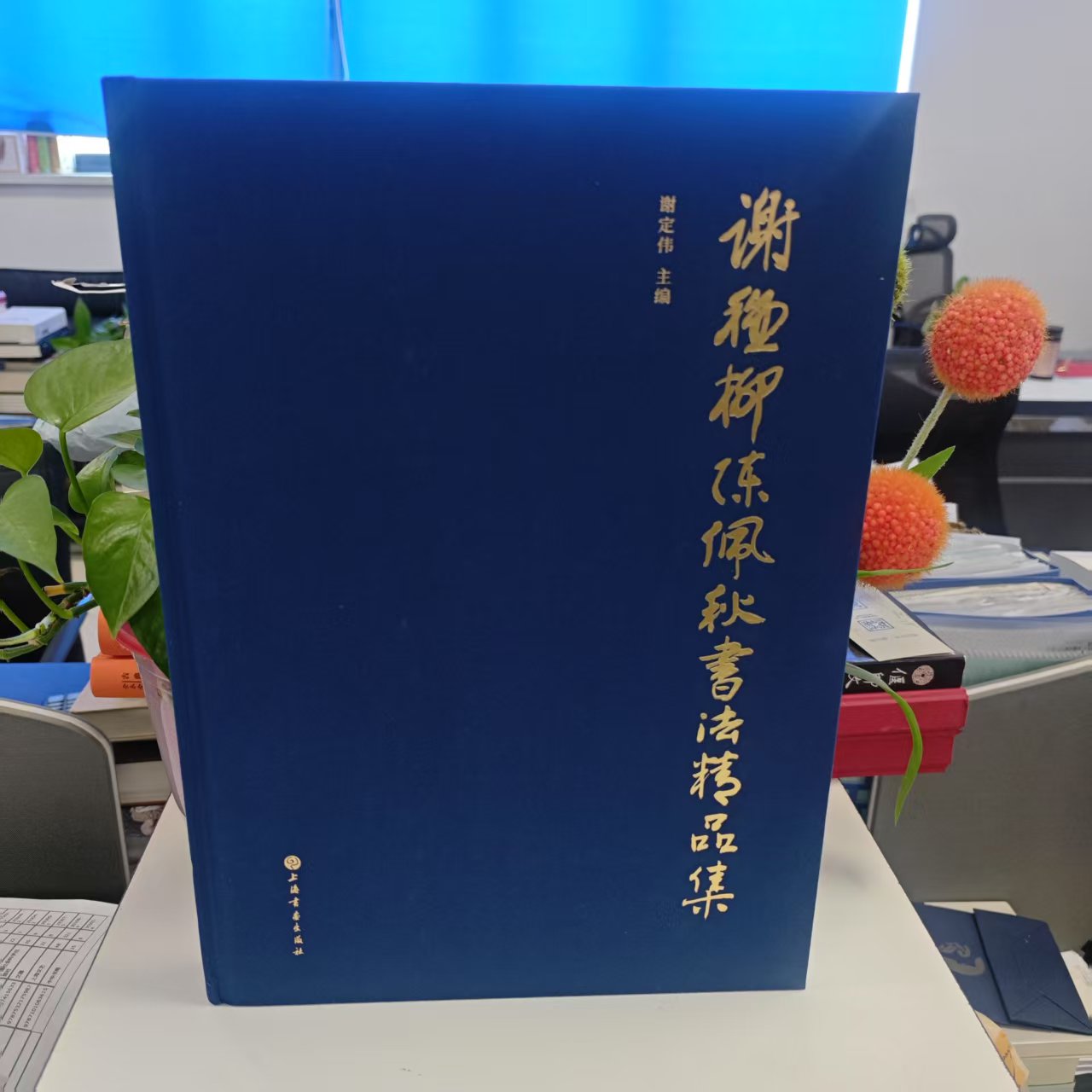 新书--谢稚柳陈佩秋书法精品集（精装） 9787547935453 上海书画