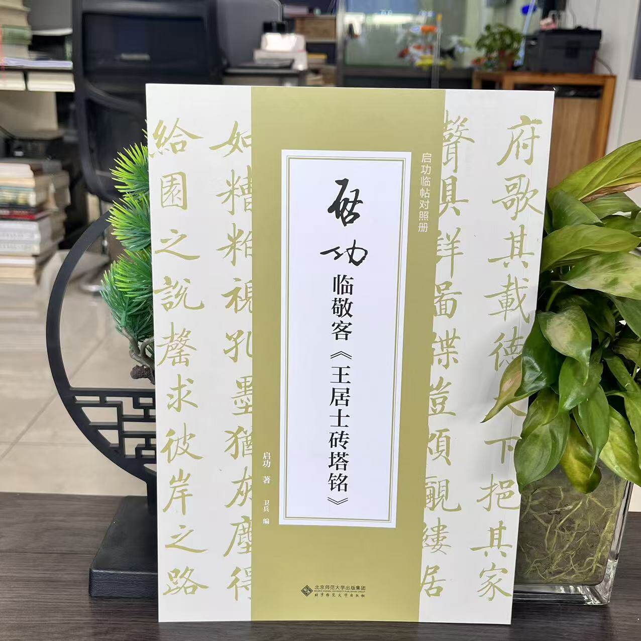 微瑕-启功临敬客《王居士砖塔铭》9787303292639北京师范大学