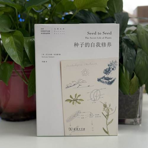 微瑕--种子的自我修养