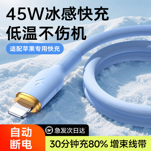 次日达适用苹果快充充电线