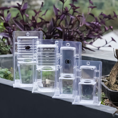 驱蚊草吸塑盒捕蝇草运输盒猪笼草