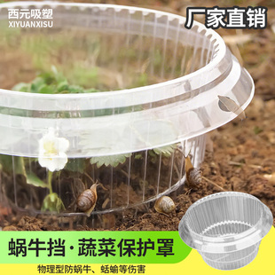 花苗保护罩防蜗牛蛞蝓围栏物理防虫神器加厚耐用塑料蔬菜保护罩