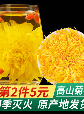 金丝皇菊菊花枸杞茶正品黄菊茶叶花茶胎菊去火非特级金银花决明子