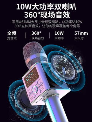 新科V812声卡网红直播专用话筒音响一体麦克风手机全民K歌神器儿