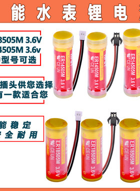 HPST 智能水表电池ER14505 18505M IC卡热水 冷水表 3.6V锂电池