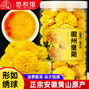 菊花茶徽州皇菊婺源高山黄菊贡菊胎菊金丝黄山花茶正品官方旗舰店