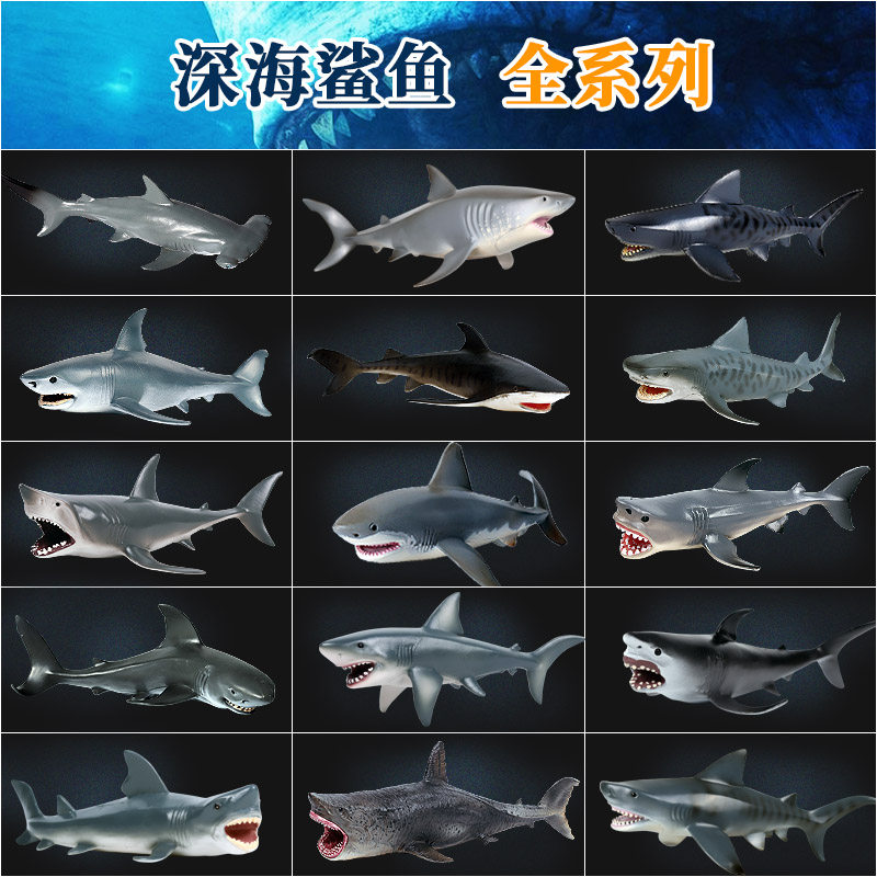 仿真大白鲨海洋动物模型玩具巨齿鲨虎鲨虎鲸鲨鱼塑胶儿童科教摆件