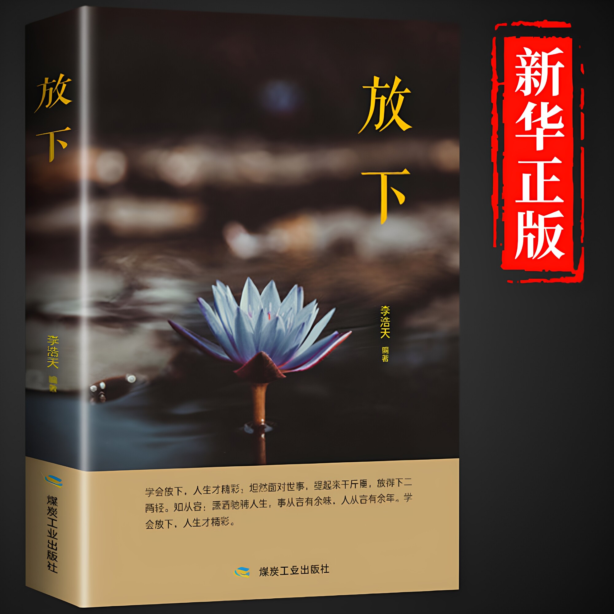 【抖音同款】放下书籍人生智慧哲学青春成功励志书籍心灵鸡汤正能量治愈系修心静心修身养性哲理正版的书籍排行榜成人好书推荐BBTS