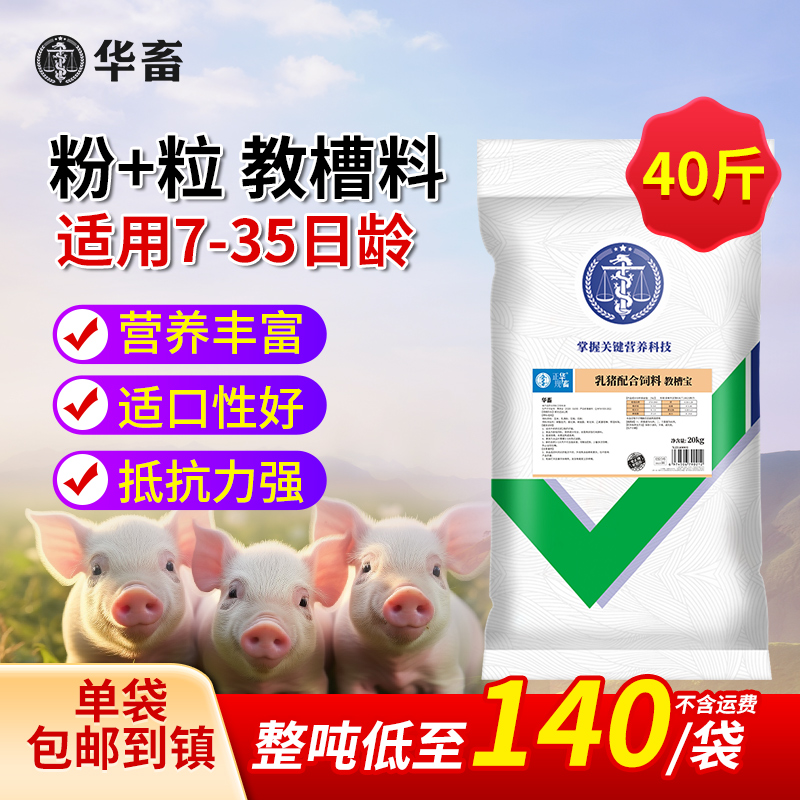 华畜乳猪仔猪教槽料小猪开口饲料