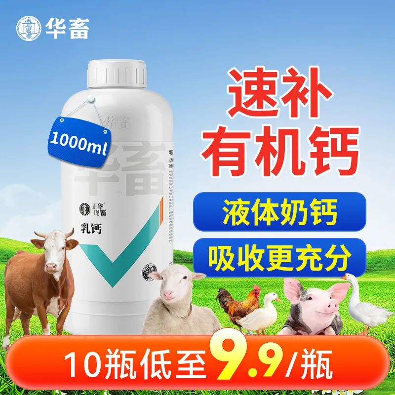 华畜优能乳猪牛羊禽鸡水产用微量元素兽用饲料添加剂液体有机乳钙 宠物/宠物食品及用品 家养大动物饲料 原图主图