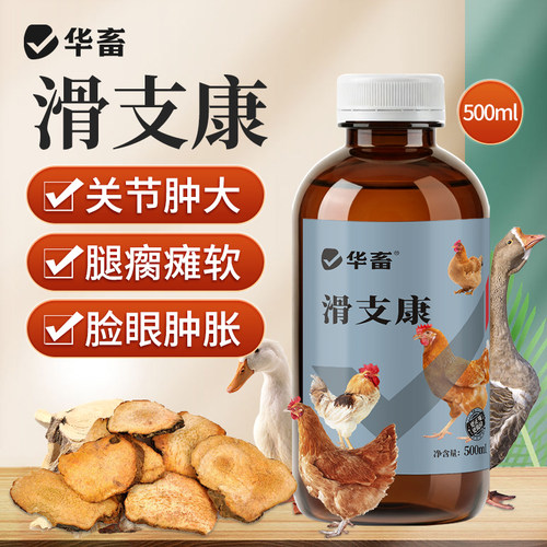 华畜滑支康肉蛋鸡鸭鹅家禽