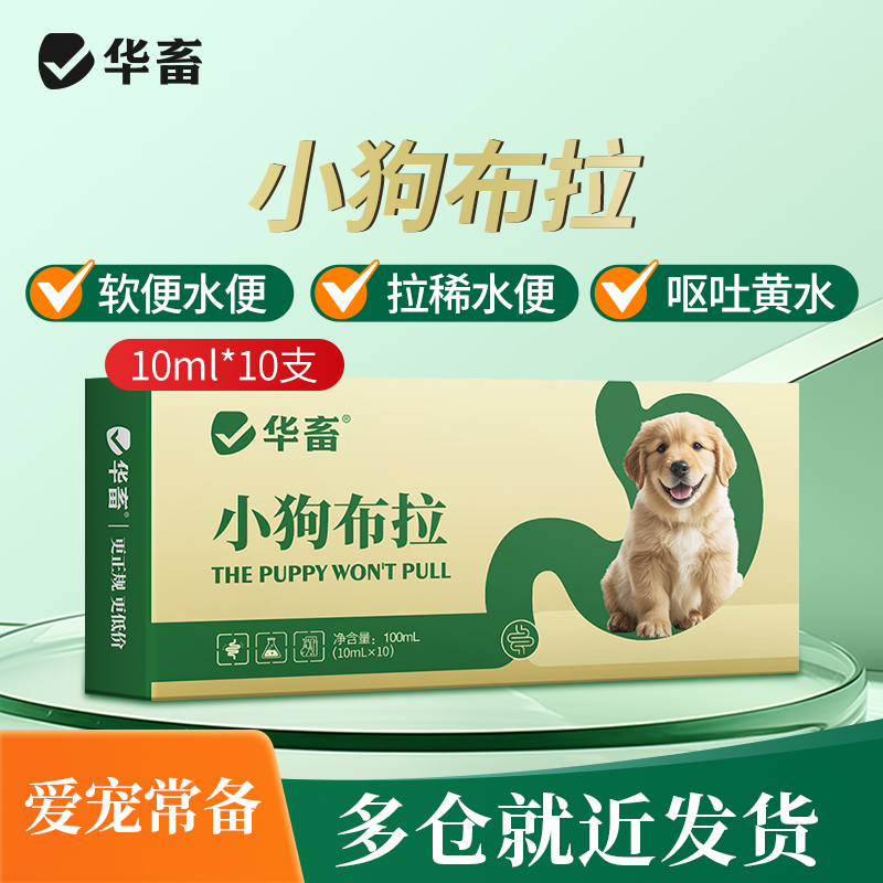 宠物猫咪狗狗拉肚子便血腹泻软便黏膜果冻便肠胃炎拉稀吐黄水