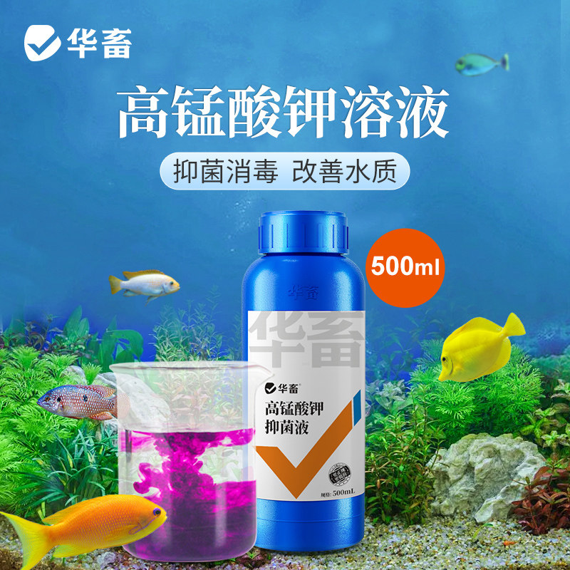 华畜高锰酸钾溶液鱼用鱼缸消毒杀菌用水质净化剂养鱼池鱼塘消毒水