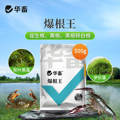 华畜水草壮根旺肥水保草护草生根