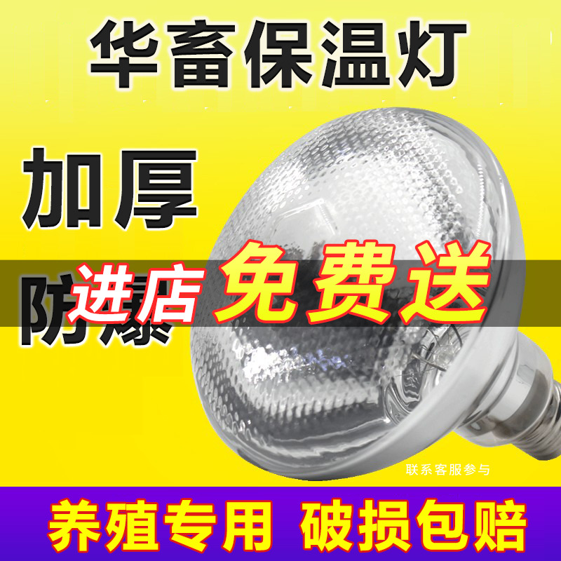 250w保温灯华畜防水防爆