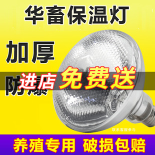 华畜250w兽用保温灯养殖场专用加厚取暖灯泡小鸡鸭仔猪舍用加热灯