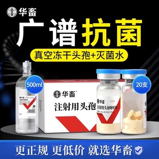 华畜注射用头孢噻呋钠兽药猪牛羊鱼腥草头孢产后消炎针重症头孢王