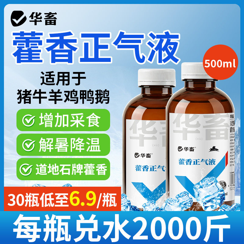 华畜藿香液兽用降温解暑口服液猪牛羊抗应激鸡鸭鹅中暑解清热