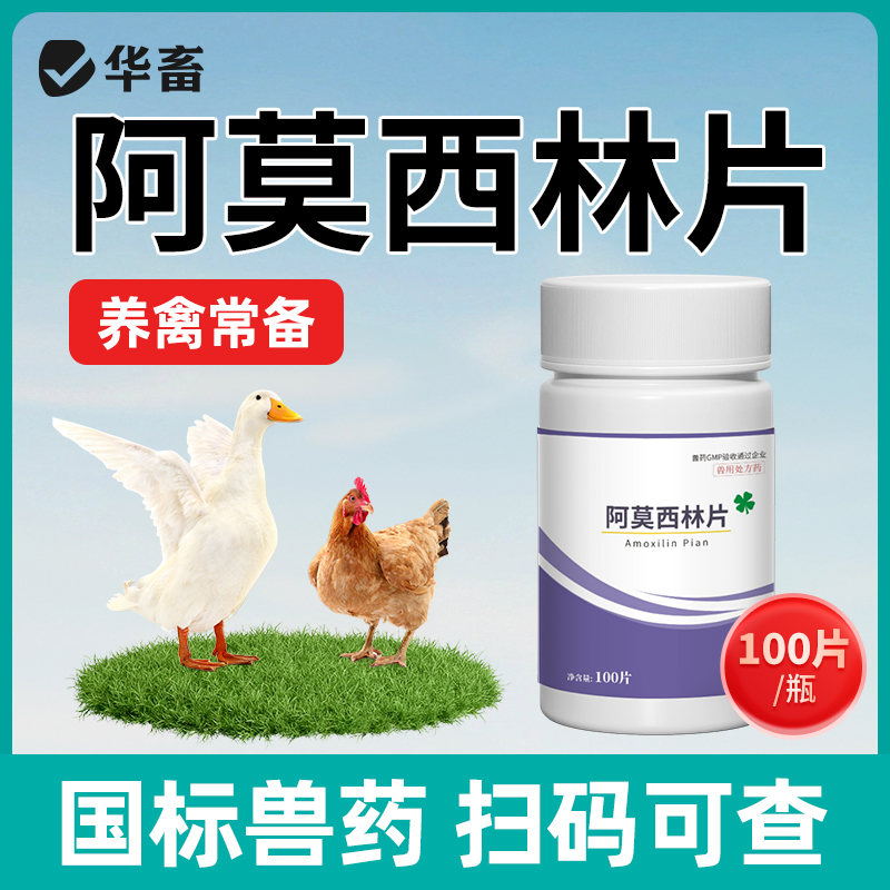 华畜龟用阿莫西林片土霉素乌龟消炎药白眼肺炎电解多维腐皮专用药