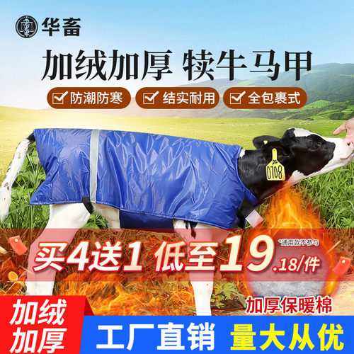 华畜加绒加厚防水犊牛马甲批发