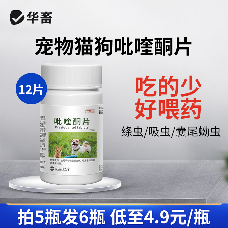 华畜猫咪狗狗驱虫药吡喹酮片12片