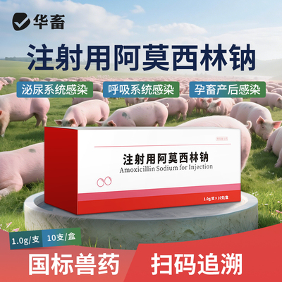 华畜注射阿莫西林钠牛羊猪咳喘腹泻拉稀胸膜肺炎抗菌消炎兽药大全
