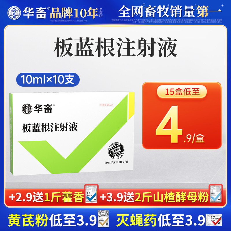 华畜兽药针剂板蓝根注射用液猪流感抗菌混感高热兽用牛羊发烧肺炎