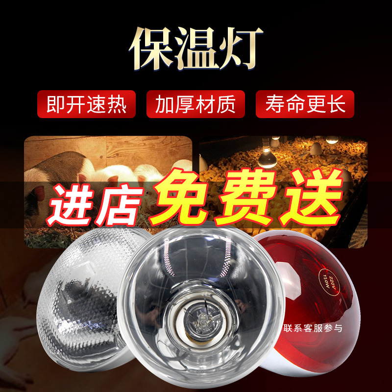 华畜保温灯小鸡养殖场专用猪用取暖灯泡小仔猪兽用猪场保暖加热灯