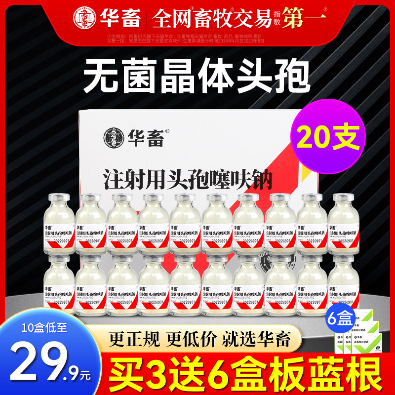 华畜兽药头孢噻呋钠兽用注射用液正品鱼腥草黄芪猪牛羊针剂消炎药