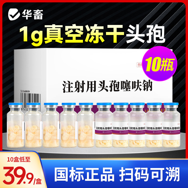 华畜兽用注射头孢噻呋钠猪牛羊消炎药速溶真空头孢冻干粉养殖场用