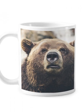 地球生物黑熊 陶瓷杯白色马克杯牛奶杯水杯