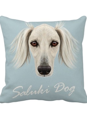长脸白色萨路基犬宠物动物 方形抱枕靠枕沙发靠垫双面含芯礼物