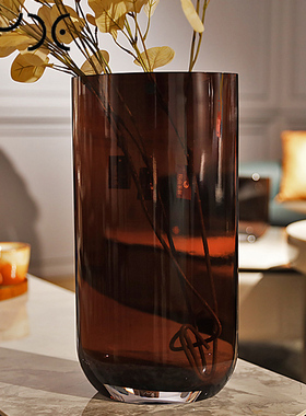 Nude土耳其进口创意水晶玻璃水养富贵竹花瓶插花器玄关摆件客厅