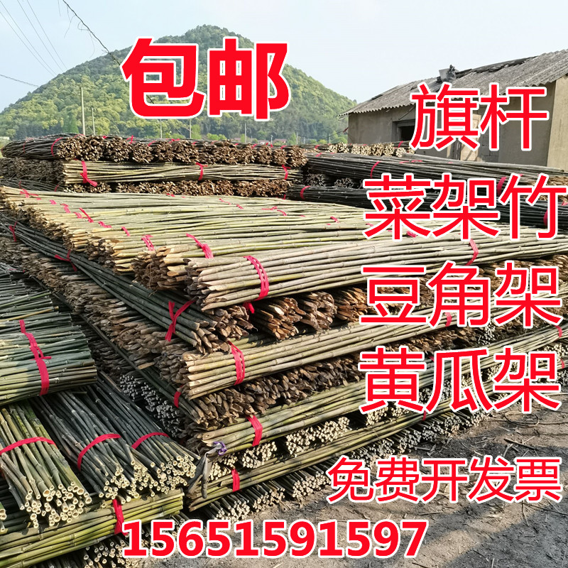 菜架竹竿豆角架蔬菜竹架跳舞竹杆彩旗竿装修篱笆围栏隔断细竹子