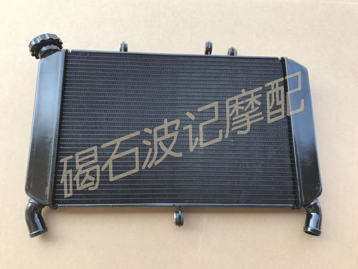 全新 雅马哈 MT-09 FZ09 水箱散热器 水箱总成 水冷器|msdalam kategori motosikal/Equipment/Fitting, Aksesori motosikal, Tank/cap tangki bahan api - dari Buy2taobao.com untuk memberikan perkhidmatan ejen Taobao profesional membeli