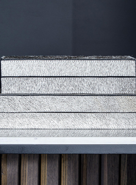 DCASA其他装饰盒现代样板间