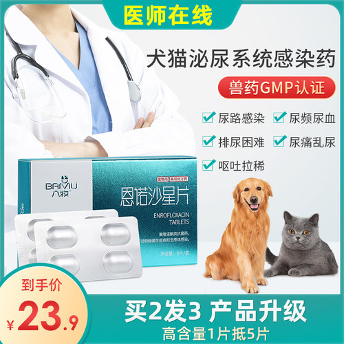 炎恩价格 炎恩图片 星期三 炎恩价格 炎恩图片 星期三
