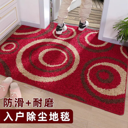 入户门口地垫进户门垫进门防滑垫脚垫家用卫生间吸水垫子地毯卧室
