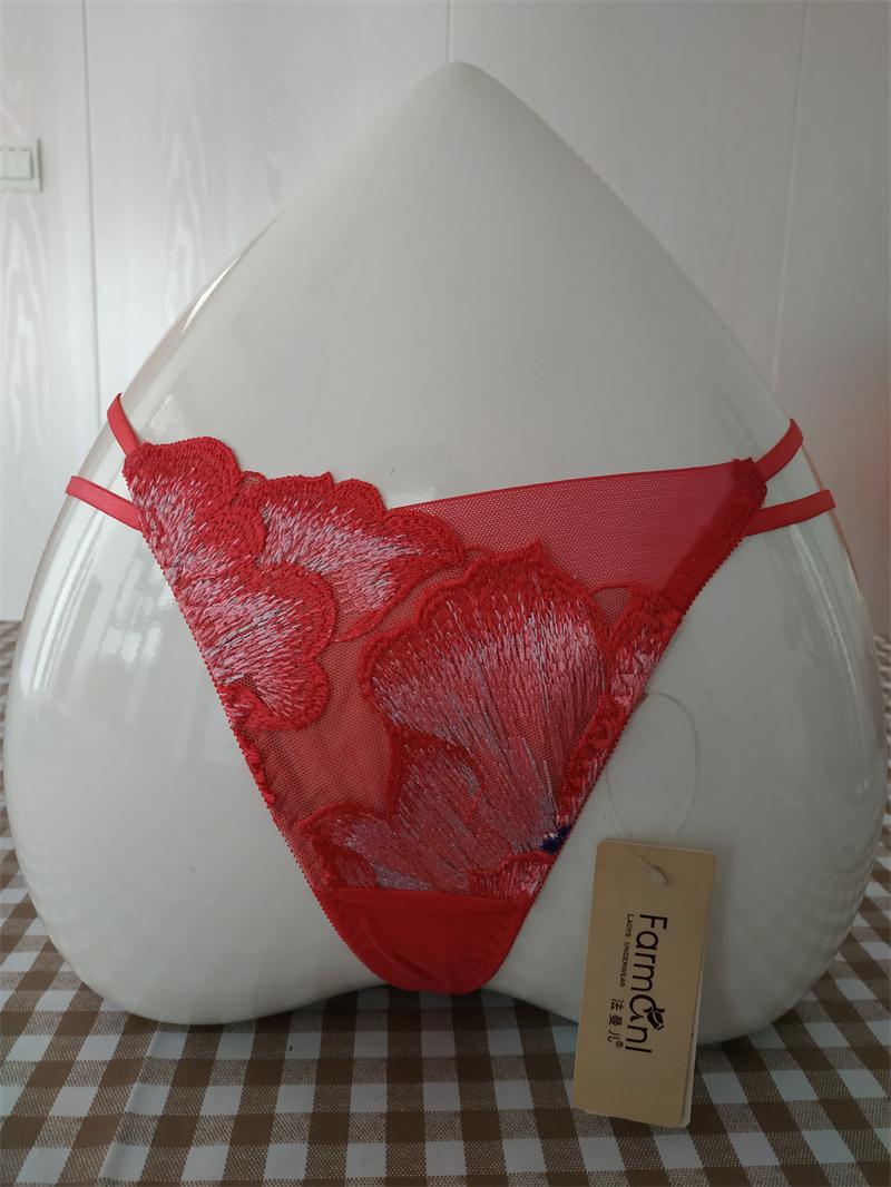 青年女士款刺绣性感时尚丁字裤