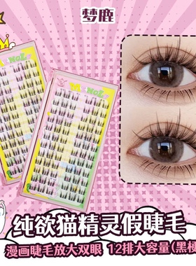 梦鹿纯欲猫精灵甜酷小野猫超自然黑线细梗分段式单簇朵毛假睫毛女