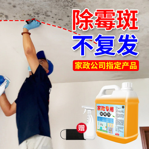 墙壁发霉除霉剂防霉去霉斑霉菌墙体墙上家用墙布衣物天花板去霉#