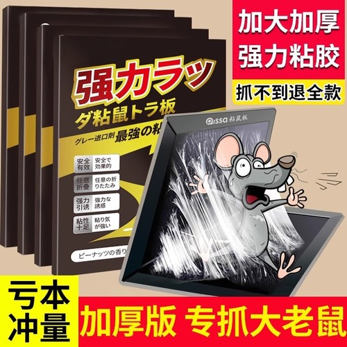 老鼠贴超强力粘鼠板抓大老鼠扑捉灭鼠胶沾一锅端家用捕鼠神器拾1