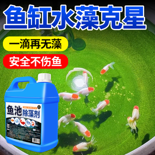 鱼缸除藻去苔剂室外鱼塘鱼池水质净化剂高效除青苔不伤鱼浮萍净$