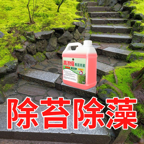 高浓缩青苔克星强力除苔持久防护