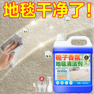 地毯清洁剂免水洗家用布艺科技布去污清洗剂洗羊毛毯专用干洗剂￥