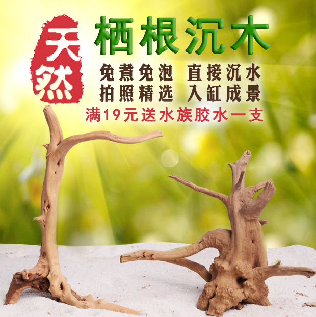 希少 黒入荷 中流木 根 魚用品 水草 Frontlineielts Com